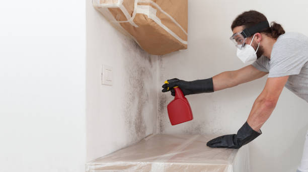 Professional Mold Remediation technician working in Sanford, VA