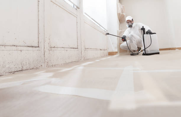 24/7 Emergency Mold Remediation experts in Sanford, VA