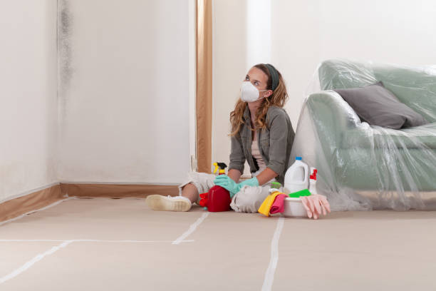 Reliable Mold Remediation contractor in Sanford, VA by WQB Mold Removal